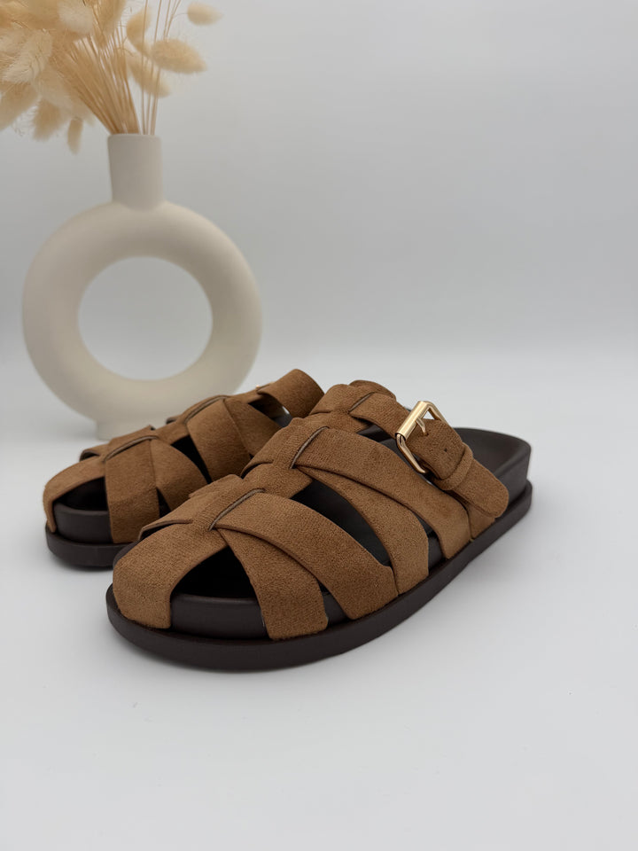Mules Agosta